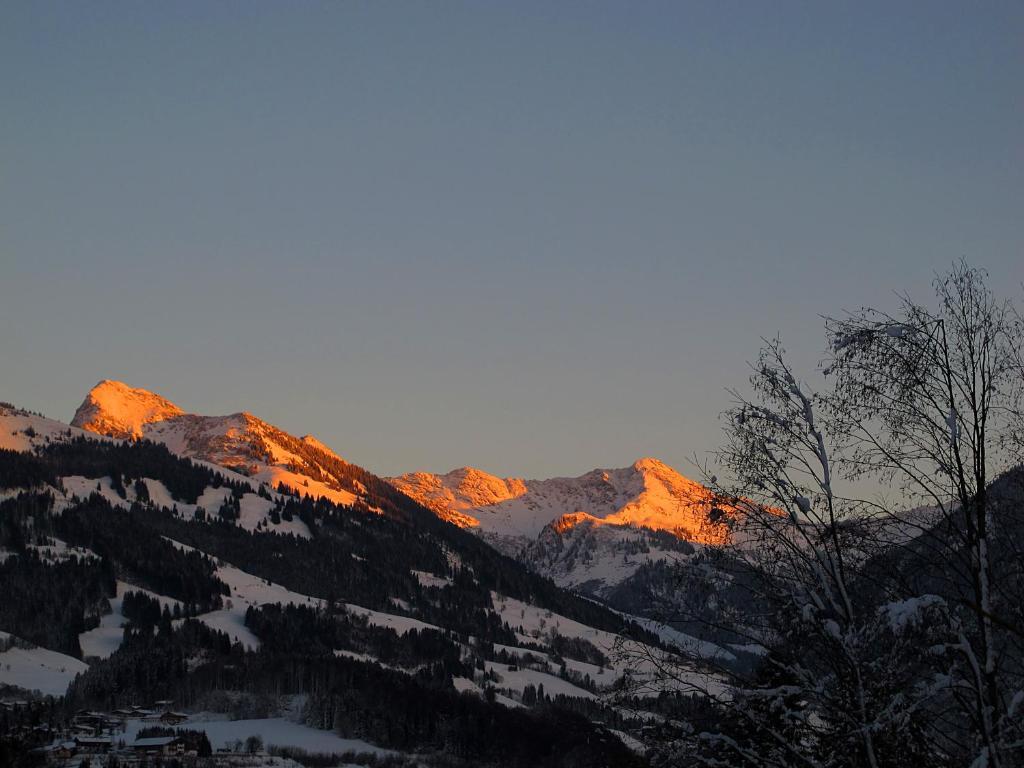 Apartment Haus Schatz Kitzbühel Cameră foto